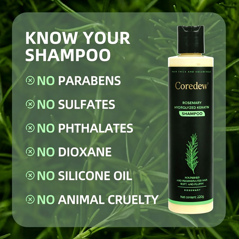 Coredew® Rosemary Shampoo | Hair Growth & Anti-Dandruff Scalp Treatment