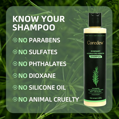 Coredew® Rosemary Shampoo | Hair Growth & Anti-Dandruff Scalp Treatment